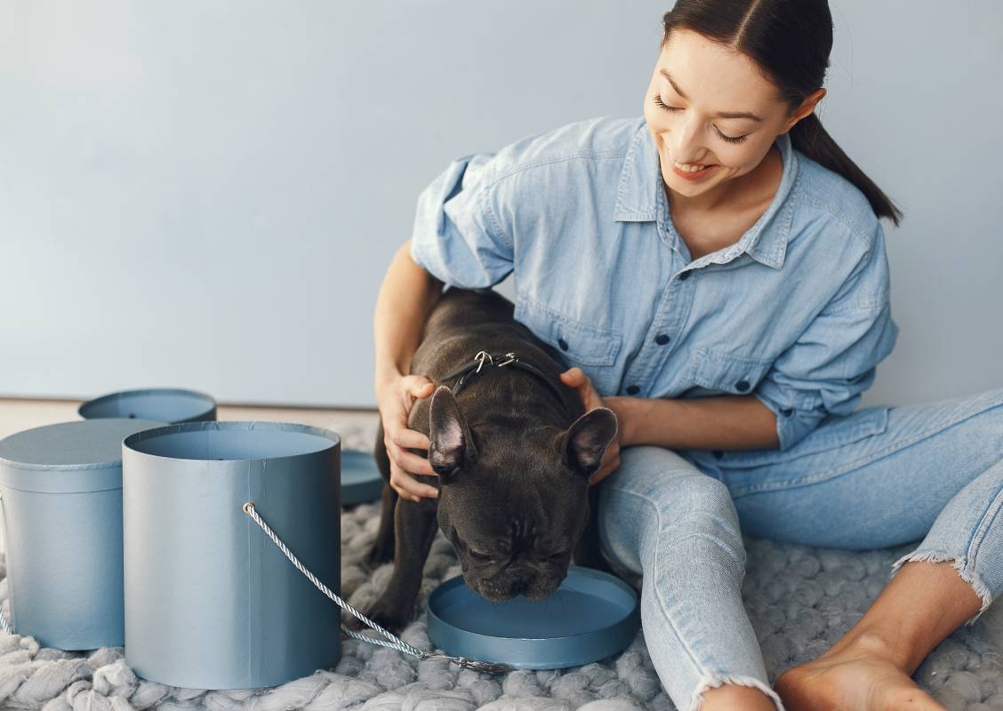 elegant-woman-blue-shirt-with-black-bulldog-min